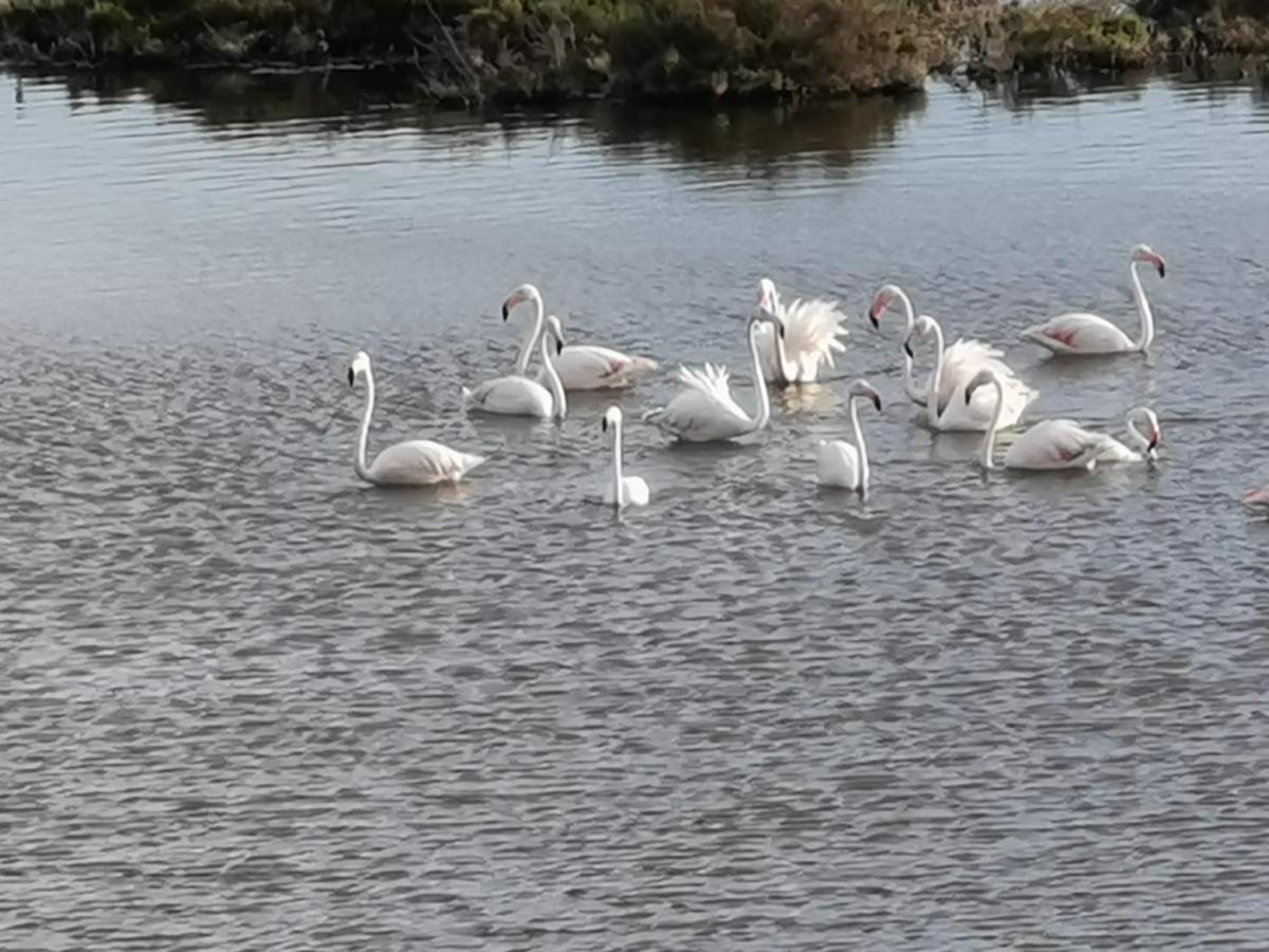 Appartamento Rincon Del Salar Playas de Vera Esterno foto